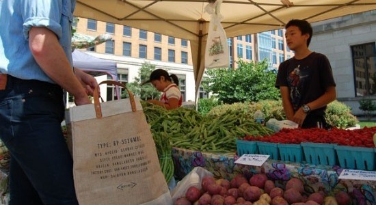apolismarketbag