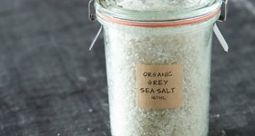 salt_445
