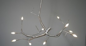 newGROWTH-tt-CB